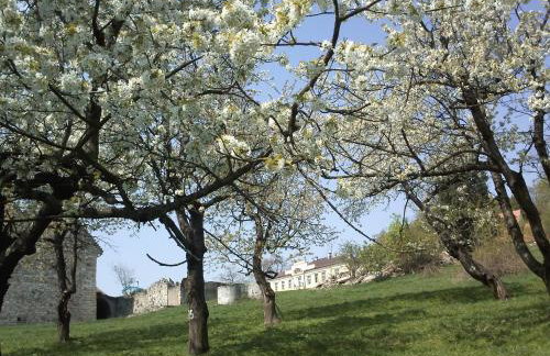 Dom Gościnny pod Zamkiem Wleń - Foto 59