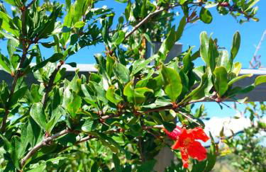 EcoVilla con piscina privata - Apulia Villas - Foto 54