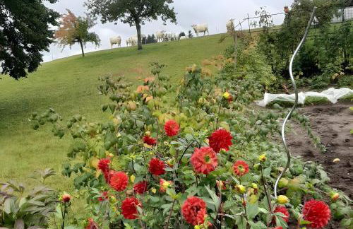 Ferienwohnung Boch Schluchsee - Foto 3