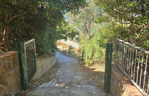 Da mia zia - Foto 24