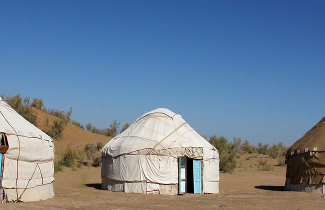 Excursion privée de 2 jours dans le désert de Kyzyl-Koum - Photo 1