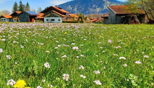 Ferienwohnung Geierstein - Foto 5