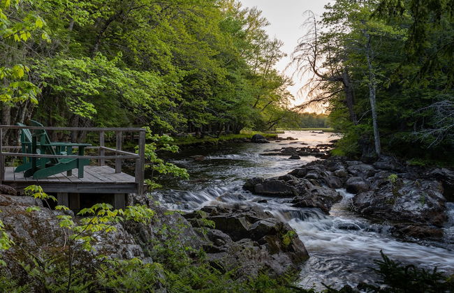 Mersey River Chalets a nature retreat - Foto 55