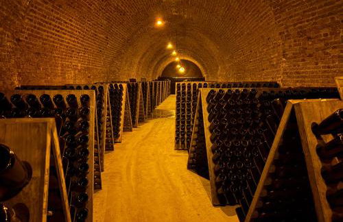 Résidence Champenoise Lancelot Rouyer ST RÉMY - Foto 35