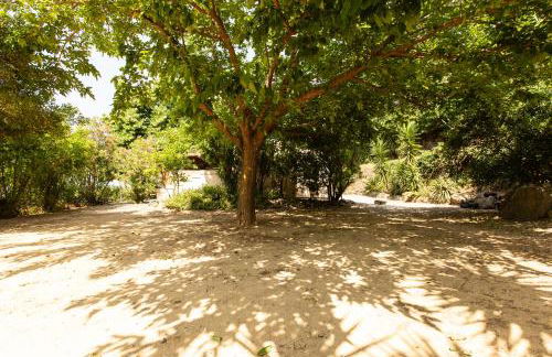 costa di sognu - Foto 39