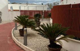 blue house cordoba - Foto 52