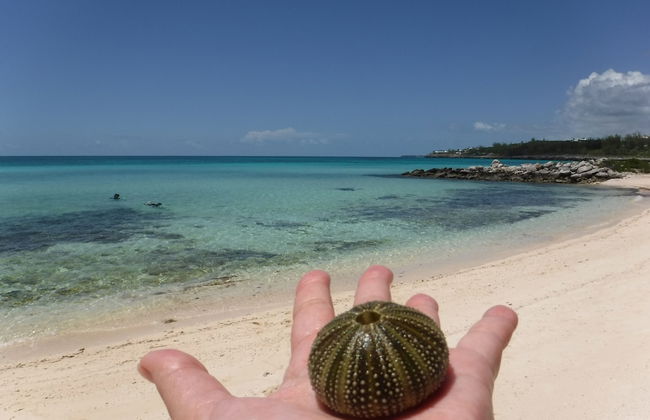 Neptune Cove 5 Bedroom Home - Foto 26