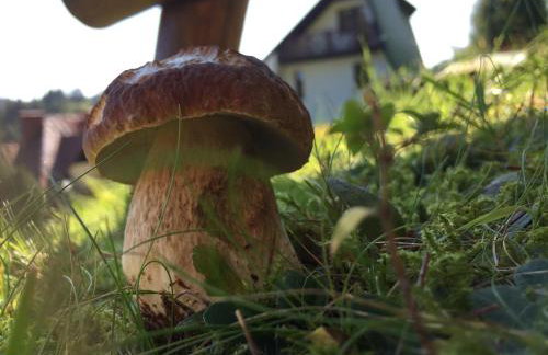 Cerla Korbielów - Foto 46