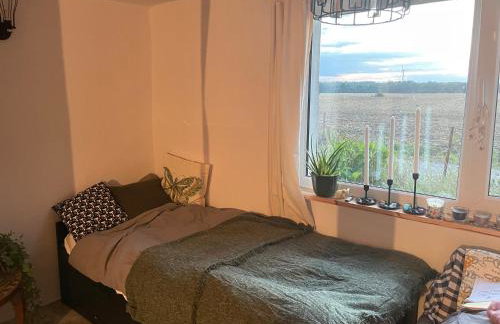 Wiejska chatka - Foto 16