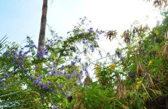 THE TEIDES WINDOW swimming pool LA VENTANA DEL TEIDE - Foto 54