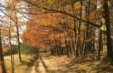 Apartamenty Równia 2 - Foto 35