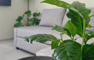 KERÉ Living - Photo 14