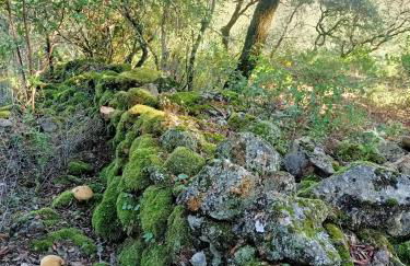 Apartamento Rural El Rinconcito - Foto 42