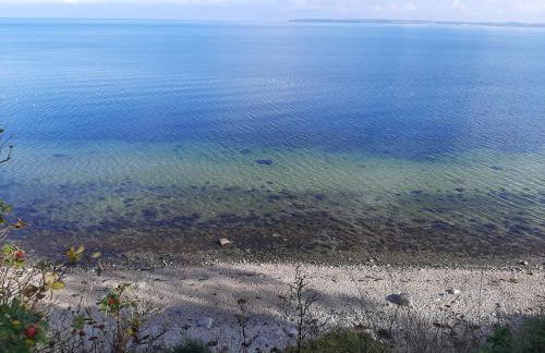 Rosmarinchen - Foto 16