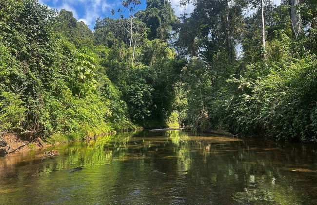 Excursion de 1 ou 2 jours au domaine Rio Agujitas - Photo 7