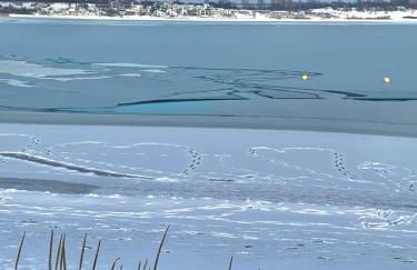 Petit Chalet 69 - Am Hainer See - Foto 36