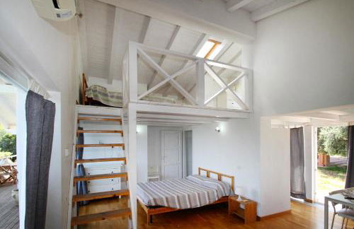 La Gabbianella E Il Gatto - Foto 28