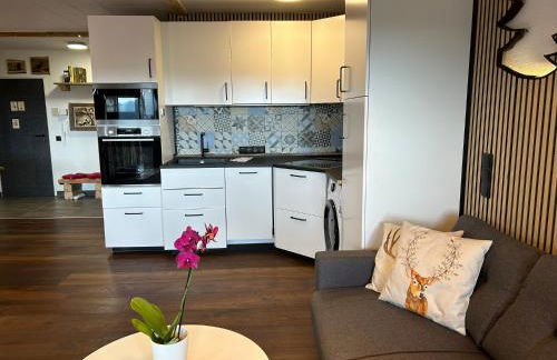 Apartment Fabelwald Black Forest - Foto 26