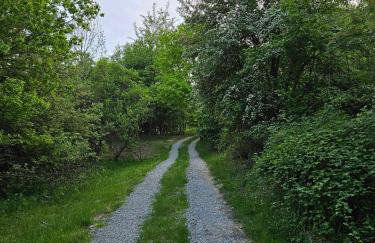 Hacienda domek całoroczny z jacuzzi w lesie pod Rzeszowem - Foto 32
