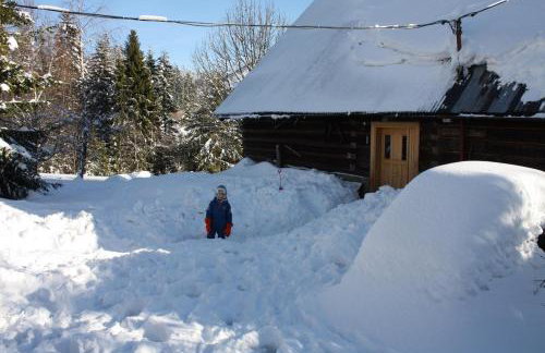 Chata góralska Wojtasówka - Foto 40