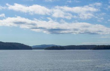 Hook's Nest-Magnificent Waterfront Luxury Home - Foto 41