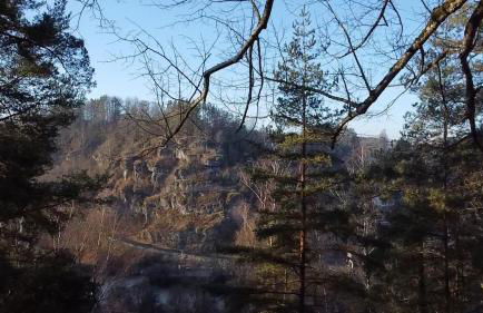 Landliebe Ferienwohnung - Photo 51