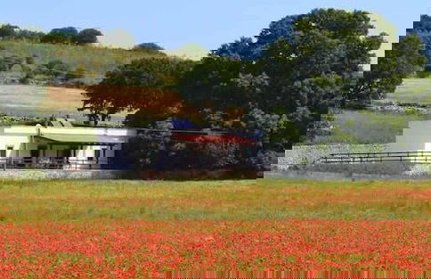 Masseria Torricella - Foto 12