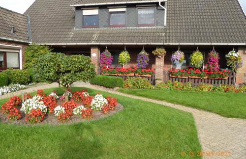 Schmidtfewo Moorgeist - Foto 1