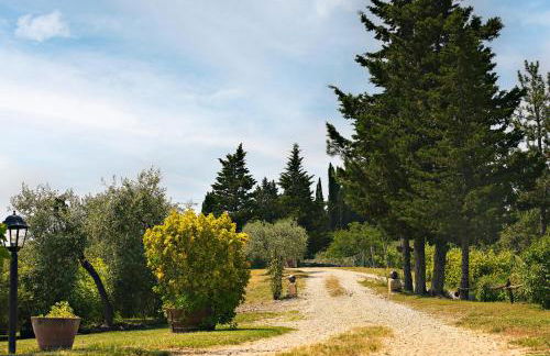 Tenuta il Poggetto - Foto 22