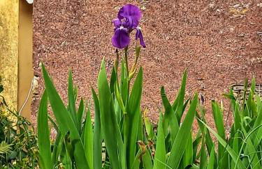 Casa Natale - Foto 62