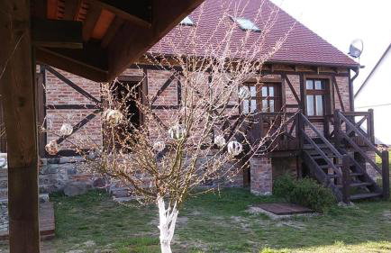 AgroKorytnica - Foto 8