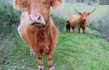 Maison de montagne vue magnifique - Foto 20