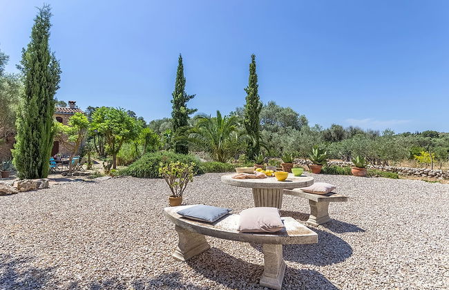 Can Pina - Eco Pina - - Photo 25