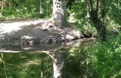 Lauriston Stay - Foto 31