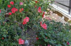 SEA VIEW TONIAS APARTMENTS Aphrodite - Foto 19