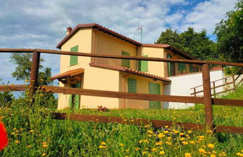 Villa con Piscina 10 Posti Letto, L'Oliveta Di Rivalto - Foto 27