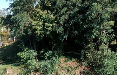 NEU! Ferienwohnung Bottelterberg - Foto 7