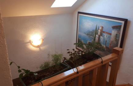 Vila NINA - Photo 40