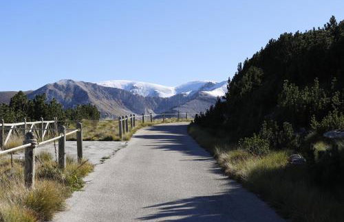 Lupus Domum - Foto 9