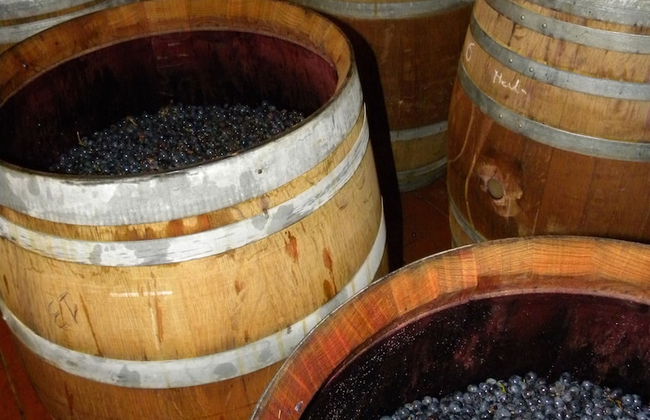 Torraccia di Chiusi - Foto 68