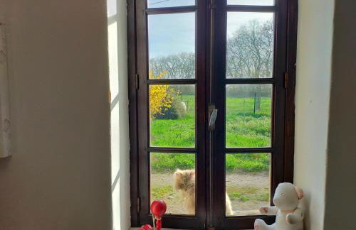 Ferme Pédagogique Bordeneuve - Foto 66