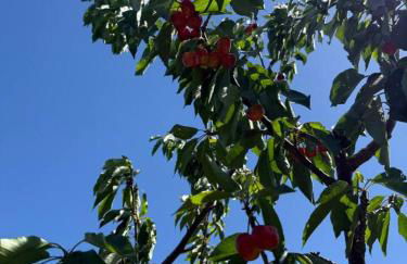 Newly Renovated Lakefront with Dock - Foto 29