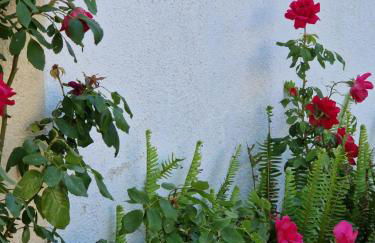 Afroditi's 1 - Photo 47