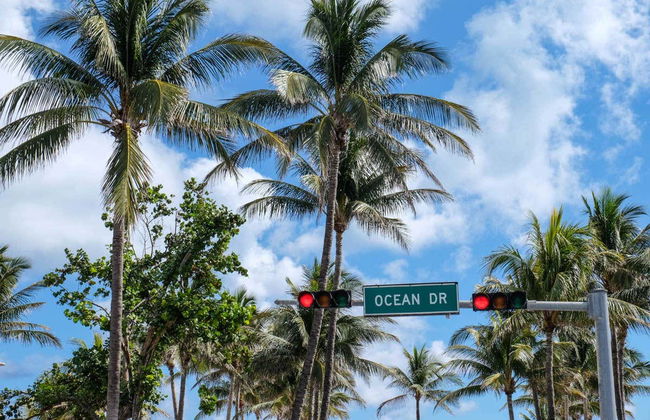 Balade à vélo à South Beach - Foto 7