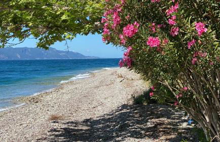 Spiti Galini, "Haus der Zufriedenheit" - Foto 65