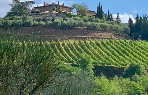 Capannelle Wine Resort - Foto 28