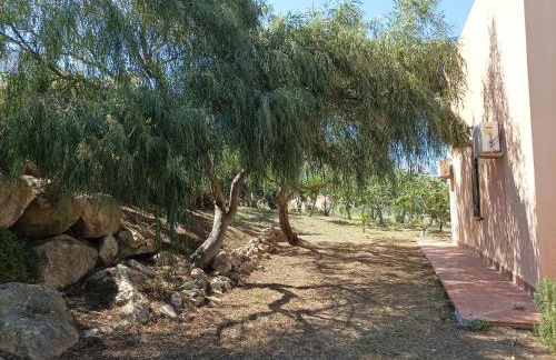 La Terrazza su Pispisa - Foto 9