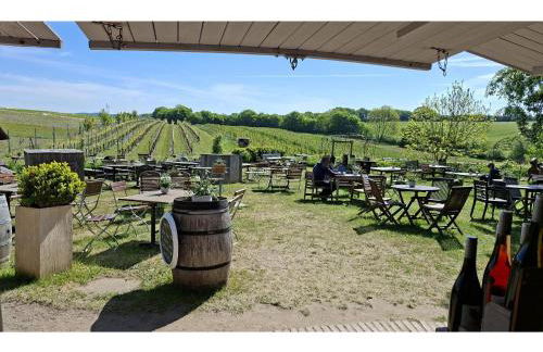 Obst- und Weingut Ingenhof - Foto 10