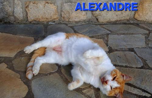 gîte en campagne Lamégritnière - Foto 35