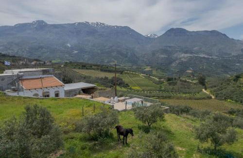 Tranditional Stone House - Foto 10